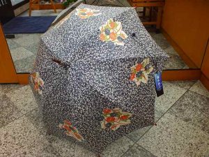 dscf4988