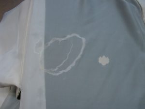 s-DSC00040