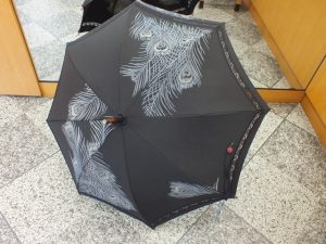 s-dscf5063