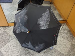 s-dscf5064