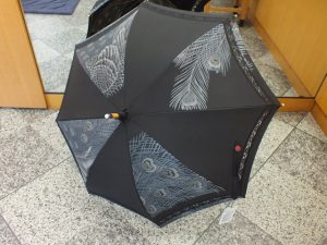 s-dscf5065